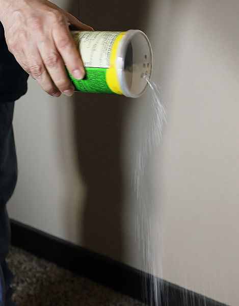 DIY Carpet Deodorizer Photo IMG 5112 opt DIY Carpet Deodorizer
