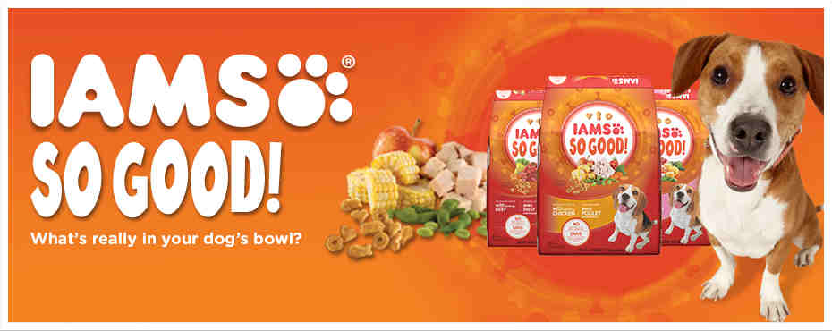Please help us verify your access request Love Your Pets Promo Codes for December Save 50% w/ 1 active Love Your Pets Sale. Today's best exsanew-49rs8091.ga Coupon: Buy Pieces or More and Get Up to 50% Off per Tag Price at Love Your Pets (Site-wide)/5(4).