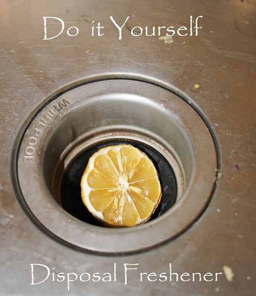 ONE Ingredient Garbage Disposal Freshener!