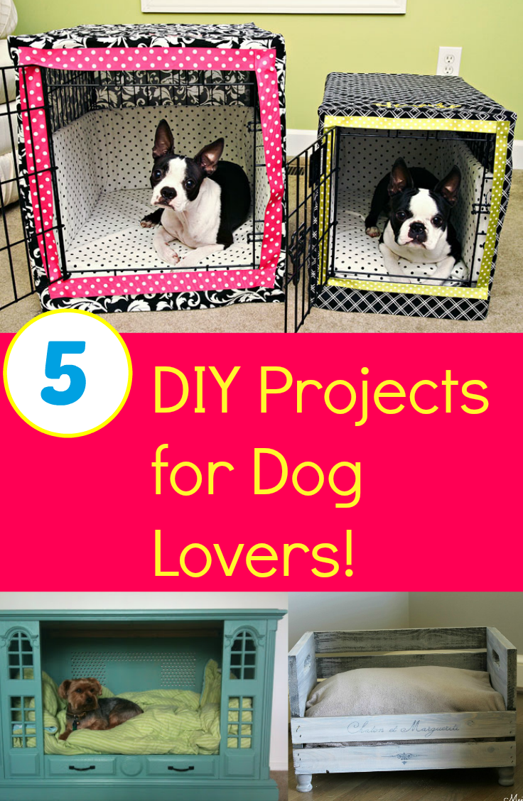 5 DIY Projects for Dog Lovers!