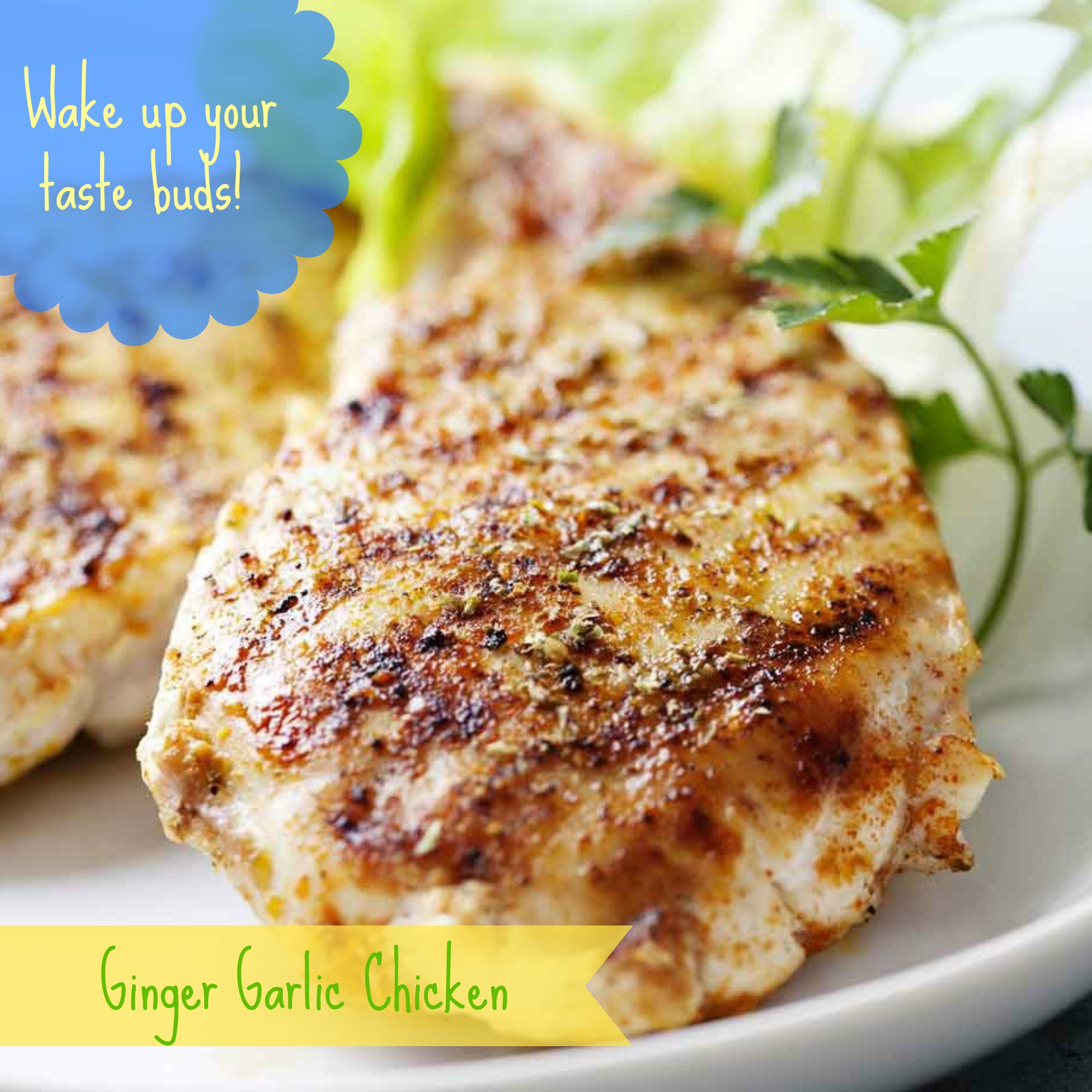 Dinner on a Dime GarlicGinger Chicken