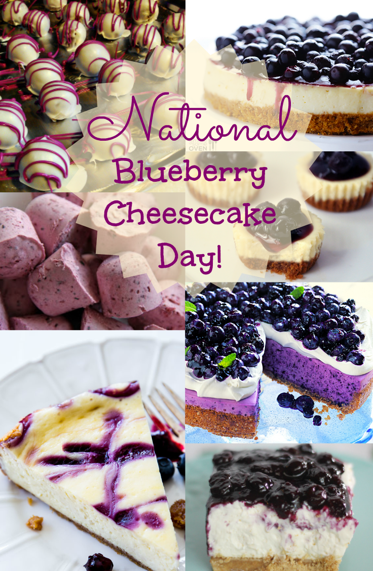 May 26th is National Blueberry Cheesecake Day!